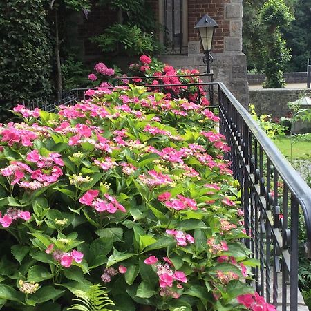 La Villa Des Roses デュルビュイ エクステリア 写真