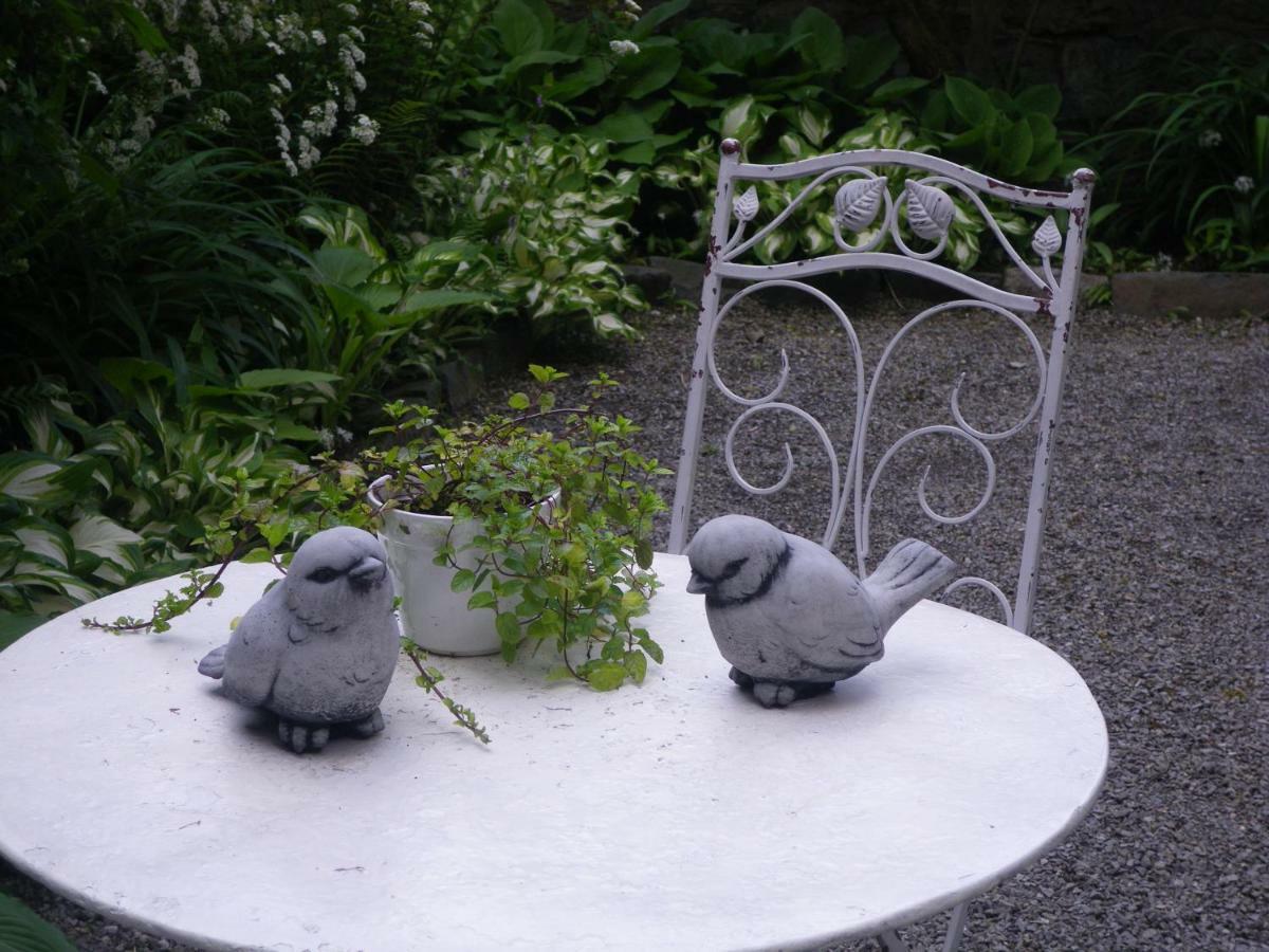 La Villa Des Roses デュルビュイ エクステリア 写真